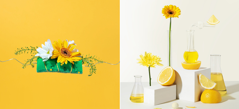 Курс «Рекламная фотография»: обучение на рекламного фотографа онлайн ...