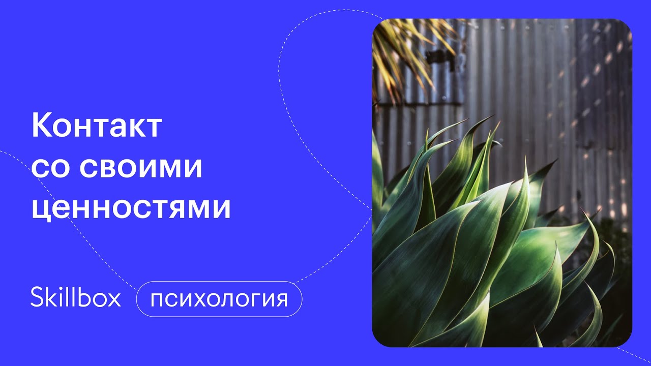 Контакт со своими ценностями